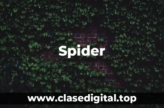Spider