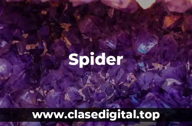Spider