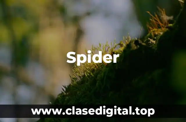 Fecha de Estreno de Spider-Man: No Way Home en España