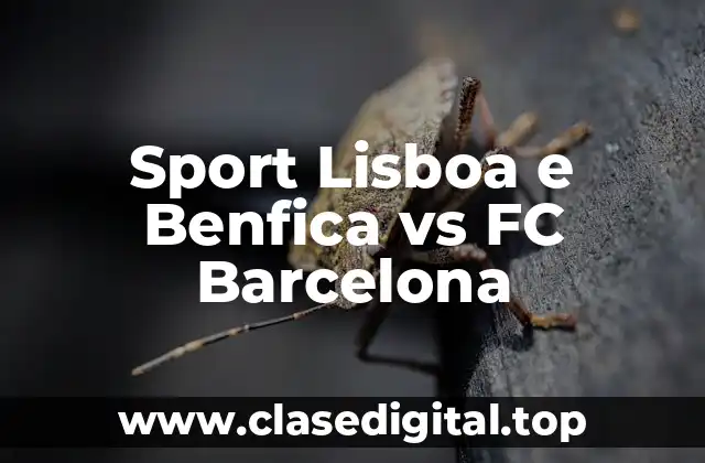 Historia de la Rivalidad: Un Resumen