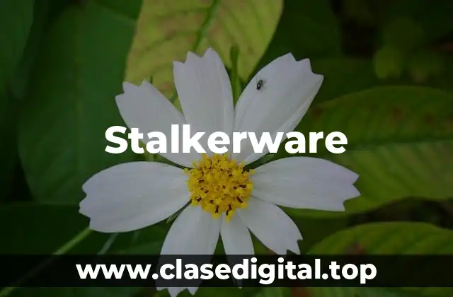 Ejemplos de stalkerware