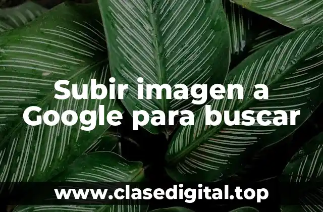 Subir imagen a Google para buscar
