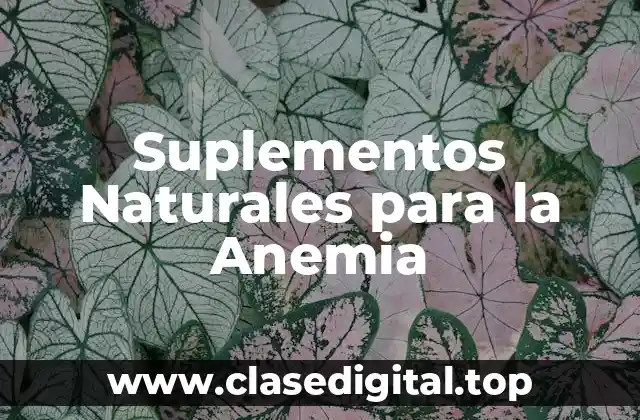 Suplementos Naturales para la Anemia