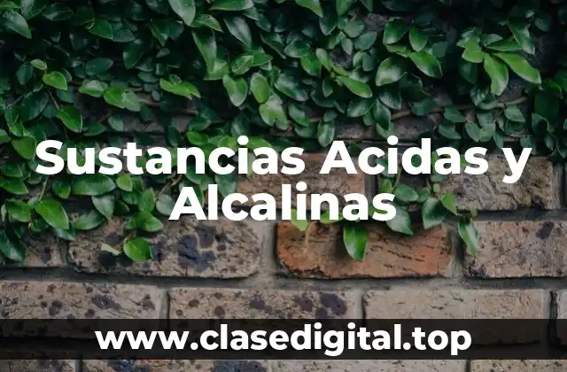 Sustancias Acidas y Alcalinas