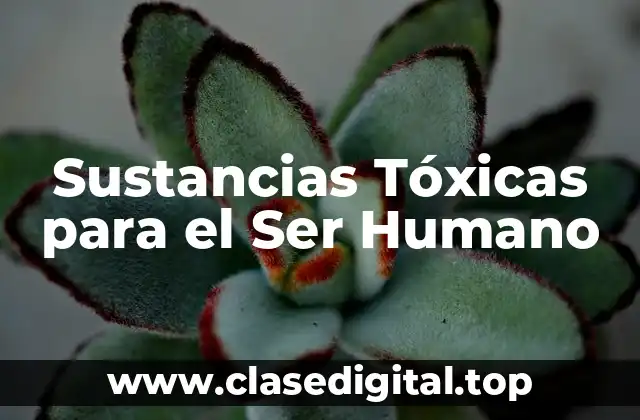 Sustancias Tóxicas para el Ser Humano