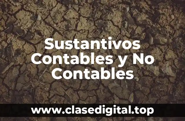 Sustantivos Contables y No Contables