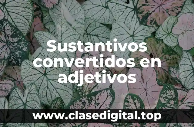 Ejemplos de sustantivos convertidos en adjetivos