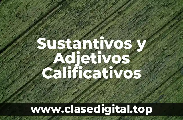 Sustantivos y Adjetivos Calificativos