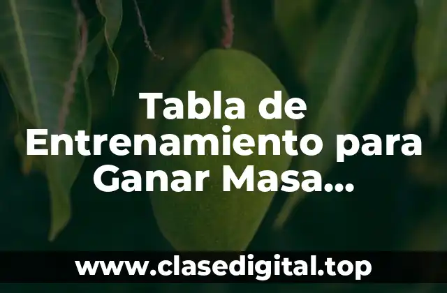 ¿Cuál es la Mejor Tabla de Entrenamiento para Ganar Masa Muscular y Perder Grasa?