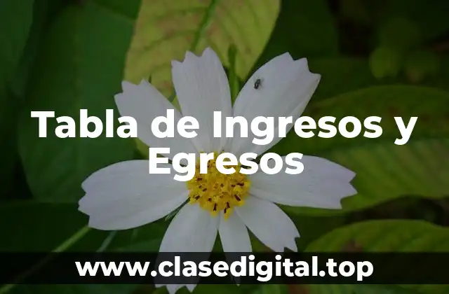 Ejemplos de tabla de ingresos y egresos