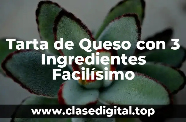 Tarta de Queso con 3 Ingredientes Facilísimo
