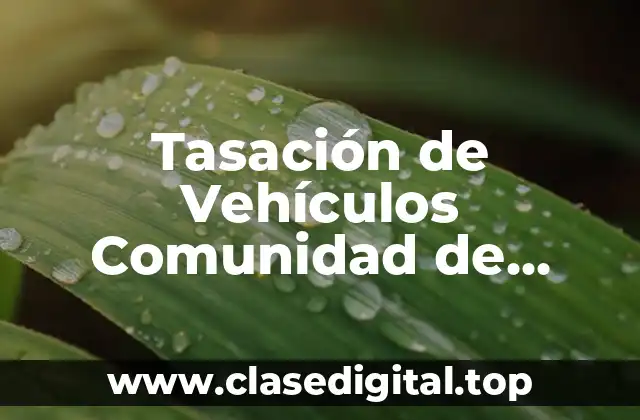 ¿Cuál es el Propósito de la Tasación de Vehículos en la Comunidad de Madrid?