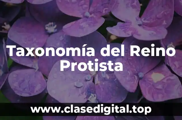 Taxonomía del Reino Protista