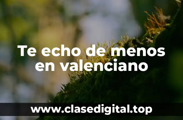 Te echo de menos en valenciano