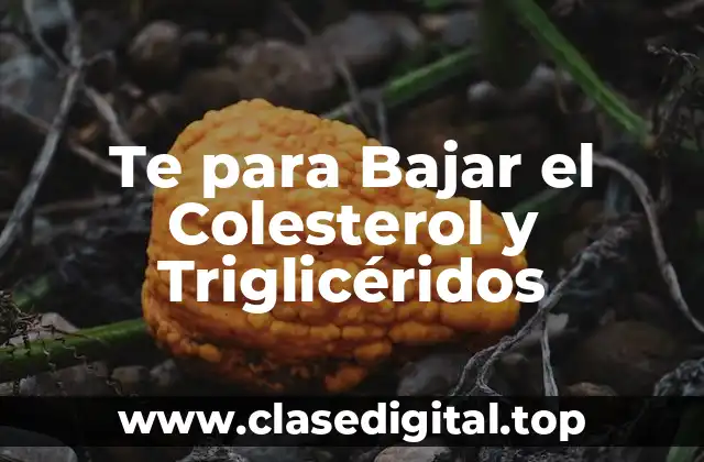 Te para Bajar el Colesterol y Triglicéridos