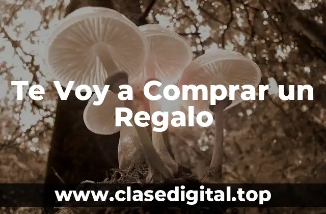 Te Voy a Comprar un Regalo