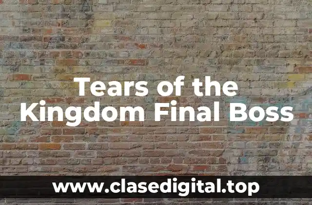 Tears of the Kingdom Final Boss