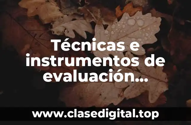 Técnicas e instrumentos de evaluación educativa