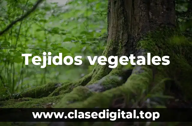 Tejidos vegetales