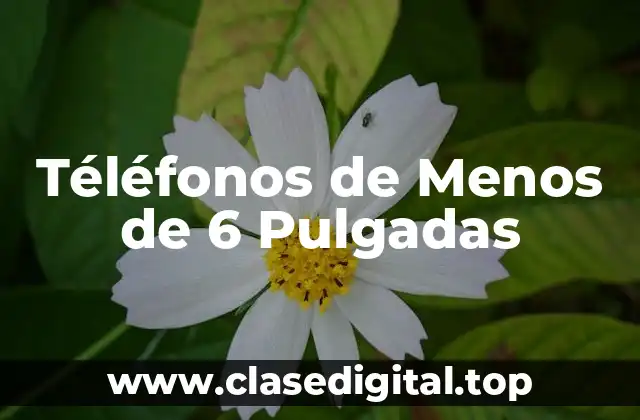 ¿Por qué los Teléfonos de Menos de 6 Pulgadas Están Volviendo a la Moda?