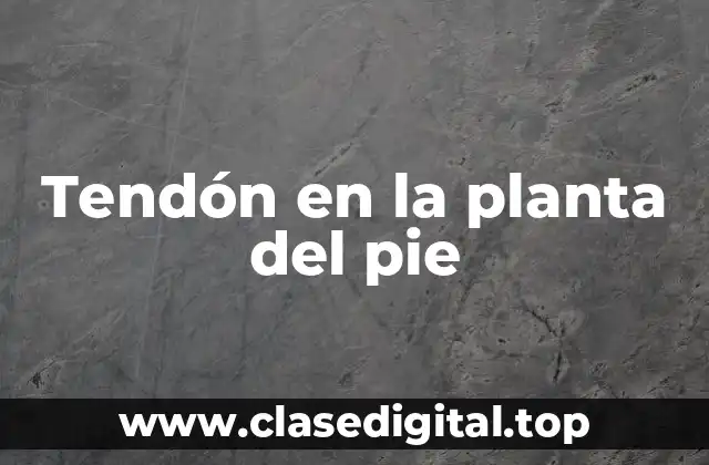 Tendón en la planta del pie