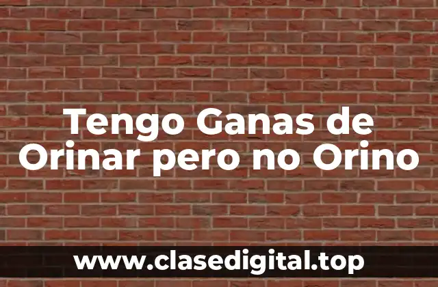 Causas de la Sensación de Necesidad de Orinar pero no Poder