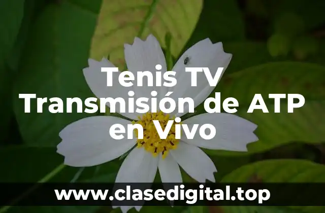 Tenis TV Transmisión de ATP en Vivo
