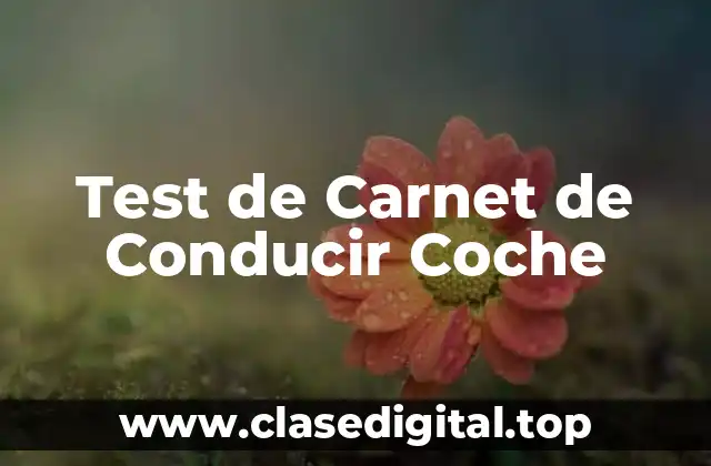 Test de Carnet de Conducir Coche