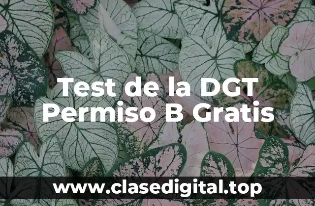 ¿Qué es el Test de la DGT Permiso B?