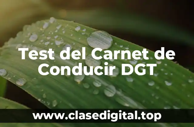 Test del Carnet de Conducir DGT