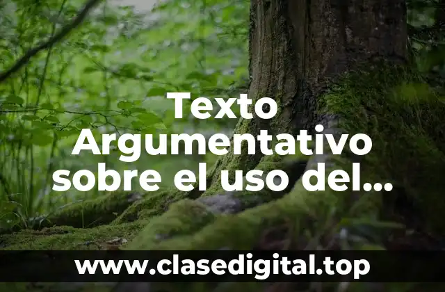 Texto Argumentativo sobre el uso del internet