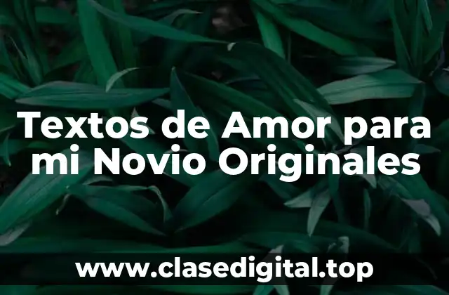 Textos de Amor para mi Novio Originales