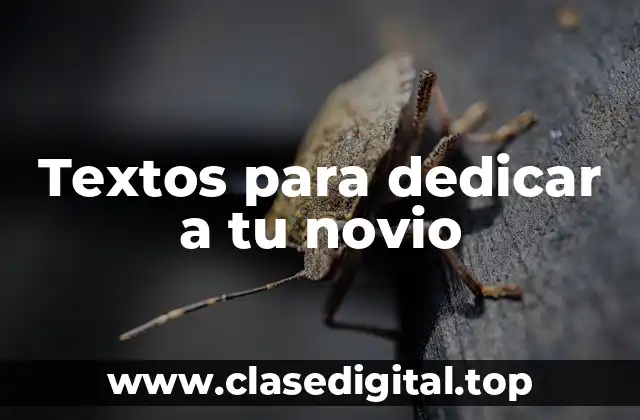 Textos para dedicar a tu novio