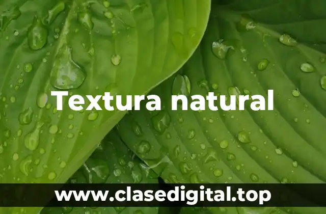 Textura natural