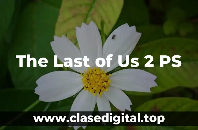 The Last of Us 2 PS