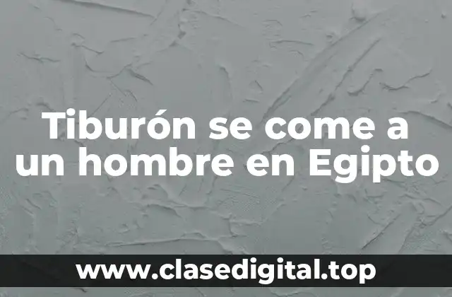 Tiburón se come a un hombre en Egipto