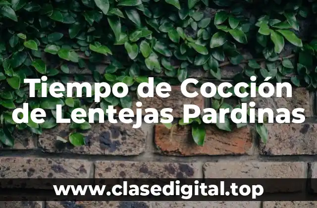 Tiempo de Cocción de Lentejas Pardinas