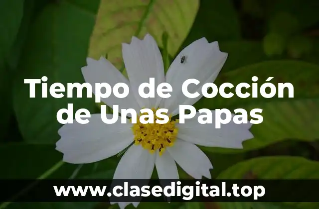 Tiempo de Cocción de Unas Papas
