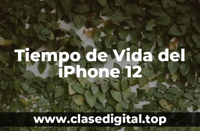 Factores que Afectan el Tiempo de Vida del iPhone 12