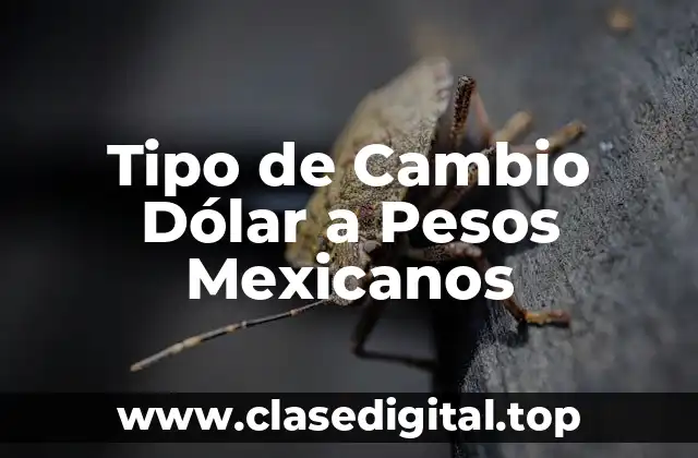 Tipo de Cambio Dólar a Pesos Mexicanos