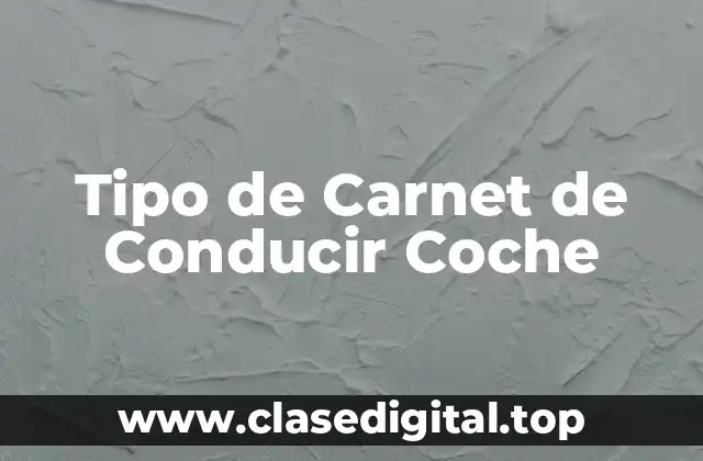 Tipo de Carnet de Conducir Coche