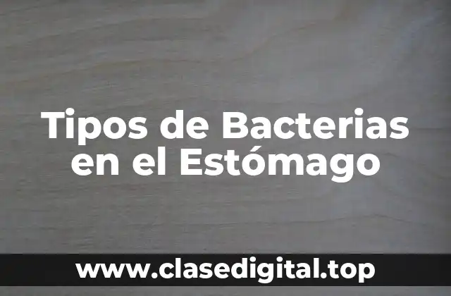 Tipos de Bacterias en el Estómago
