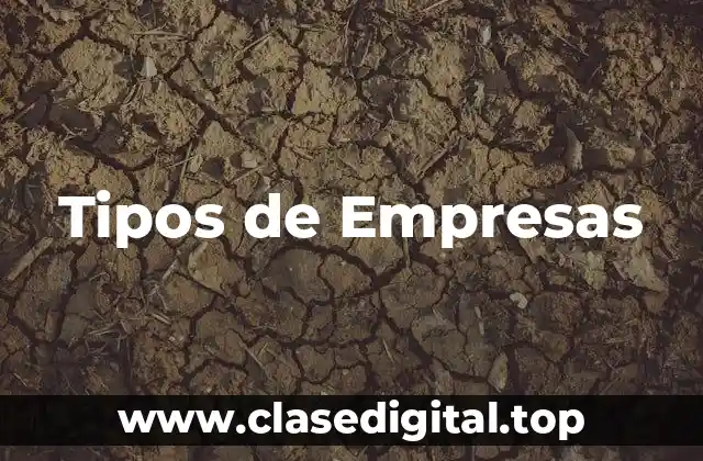 Tipos de Empresas