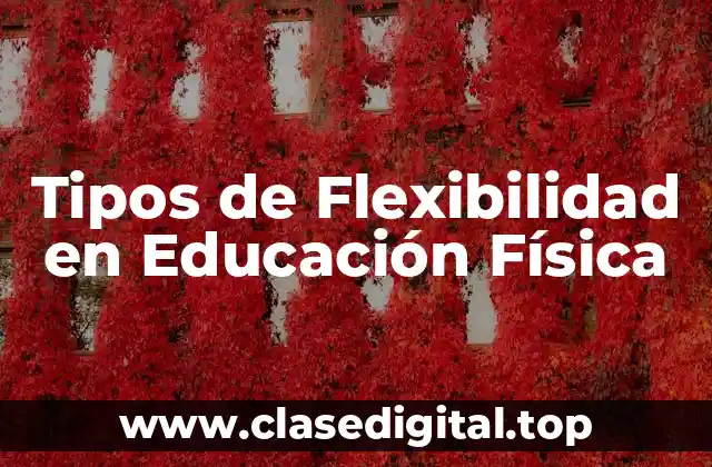 ¿Qué es la Flexibilidad en Educación Física?