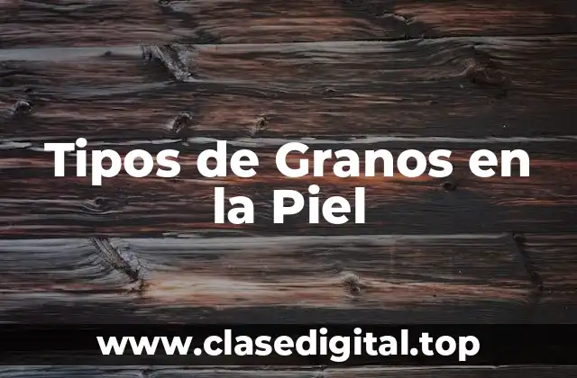 Tipos de Granos en la Piel