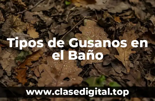 Tipos de Gusanos en el Baño