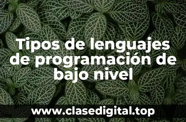 Tipos de lenguajes de programación de bajo nivel