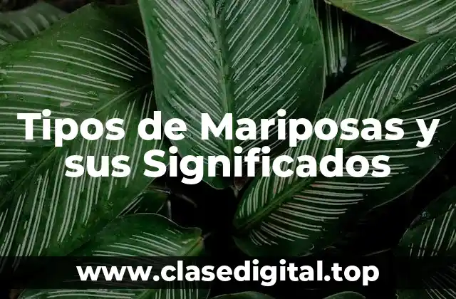 Tipos de Mariposas y sus Significados