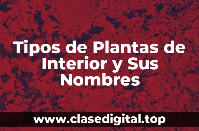 Plantas de Interior Fáciles de Cuidar