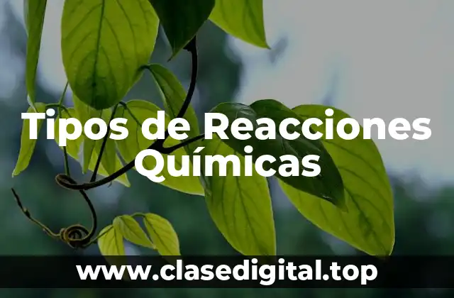 Tipos de Reacciones Químicas